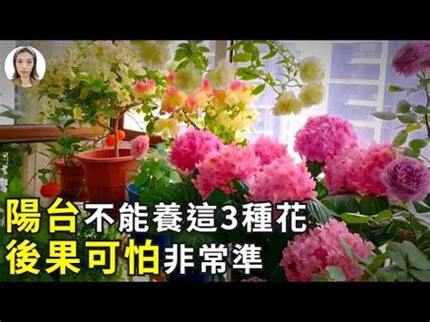 陽台種花禁忌|陽台種花的風水禁忌